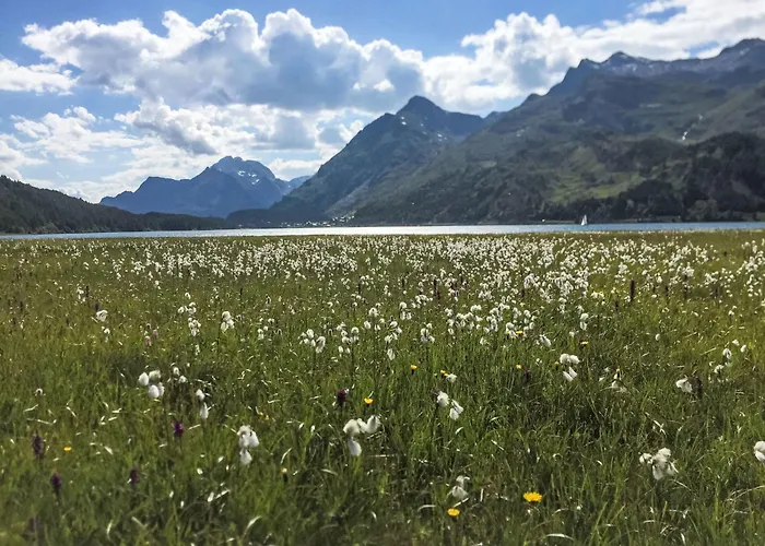 Pra D'sura 211 By Interhome דירה